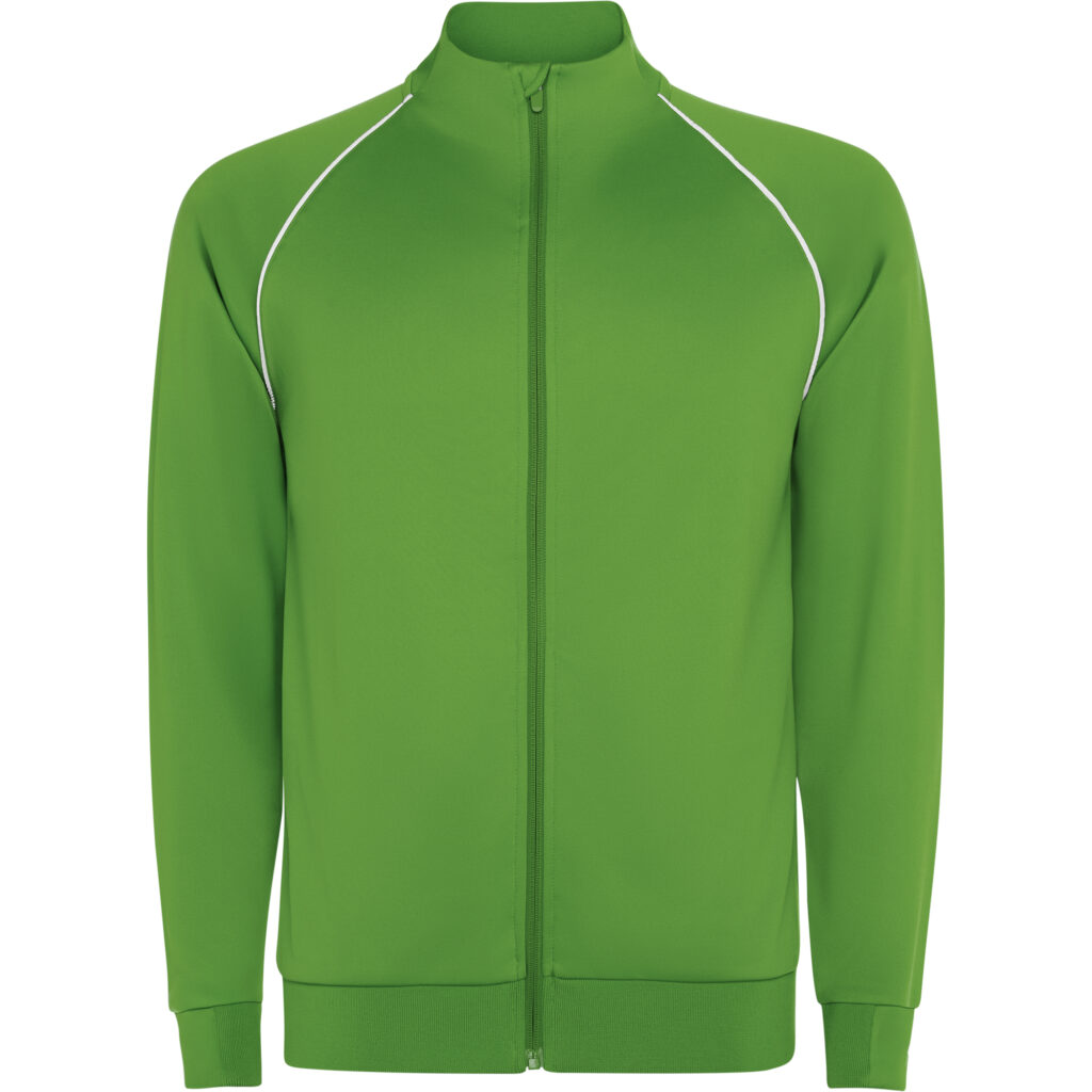 Verde felce